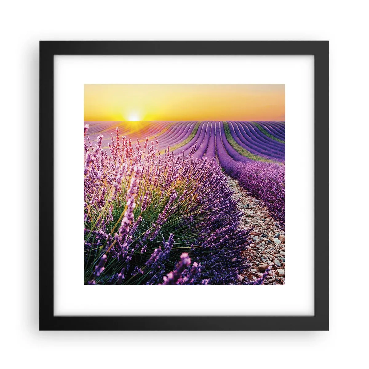 Affiche dans un cadre noir - Poster - Tige parfumée - 30x30 cm