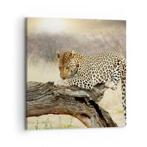 Impression sur toile - Image sur toile - Je suis ma propre route - 70x70 cm