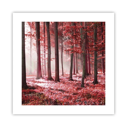 Affiche - Poster - Le rouge est tout aussi beau - 40x40 cm