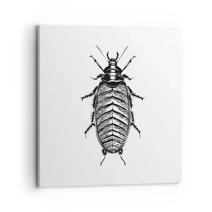 Impression sur toile - Image sur toile - Quel spécimen! - 70x70 cm