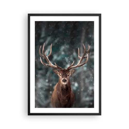 Affiche dans un cadre noir - Poster - Portrait d'un cerf aux bois impressionnants sur fond de forêt hivernale - 50x70cm - Roi de la forêt couronné - Décoration murale moderne pour le salon et la chambre ARTTOR