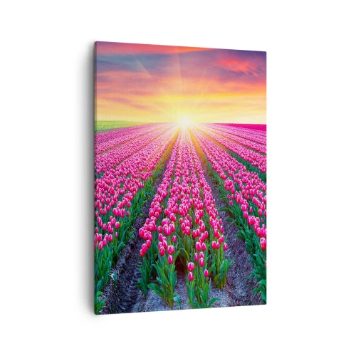 Impression sur toile - Image sur toile - Un champ de tulipes au coucher du soleil - 50x70cm - Ferme de la beauté - Décoration murale moderne pour le salon et la chambre ARTTOR