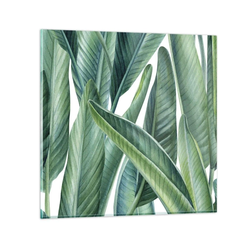 Impression sur verre - Image sur verre - La nature face à elle-même - 30x30 cm