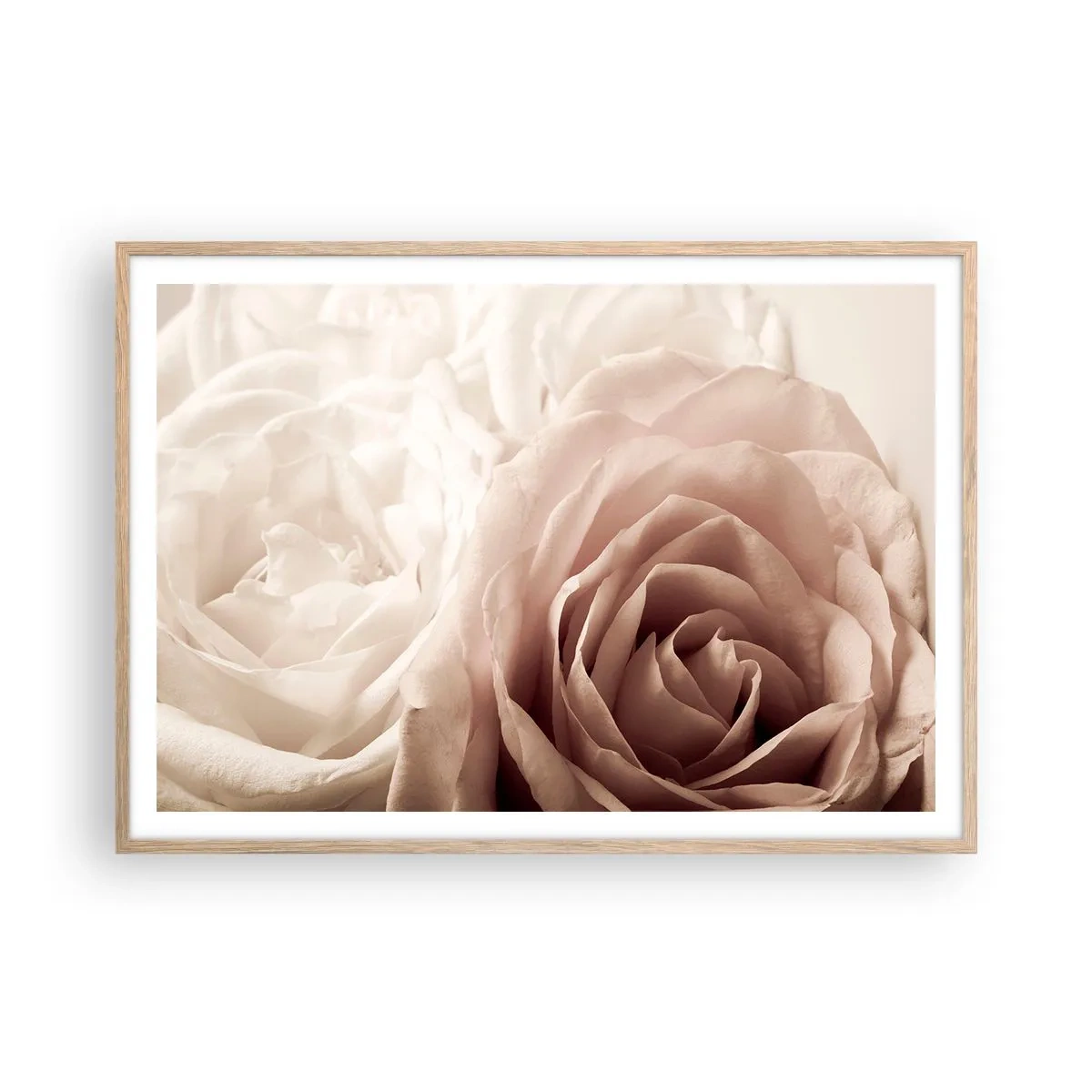 Affiche dans un chêne clair - Poster - Au coeur d'ue la rose - 100x70 cm