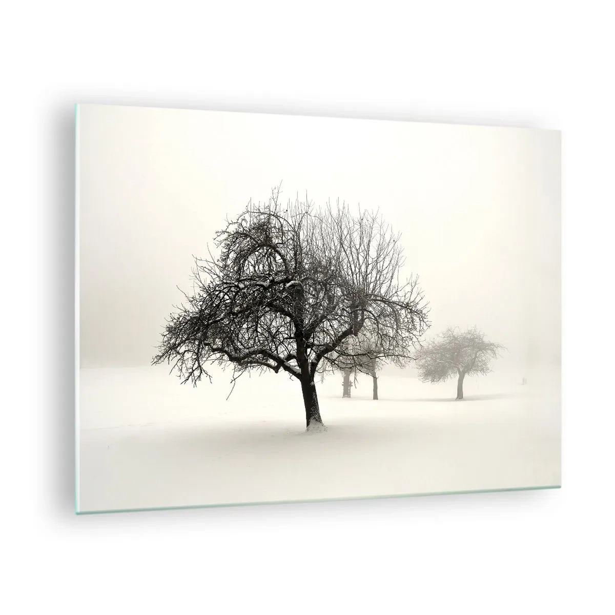 Impression sur verre - Image sur verre - Arbres dans un paysage hivernal recouvert de neige et de brouillard - 70x50cm - Un rêve hivernal - Décoration murale moderne pour le salon et la chambre ARTTOR