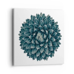 Impression sur toile - Image sur toile - Étoile du désert - 40x40 cm