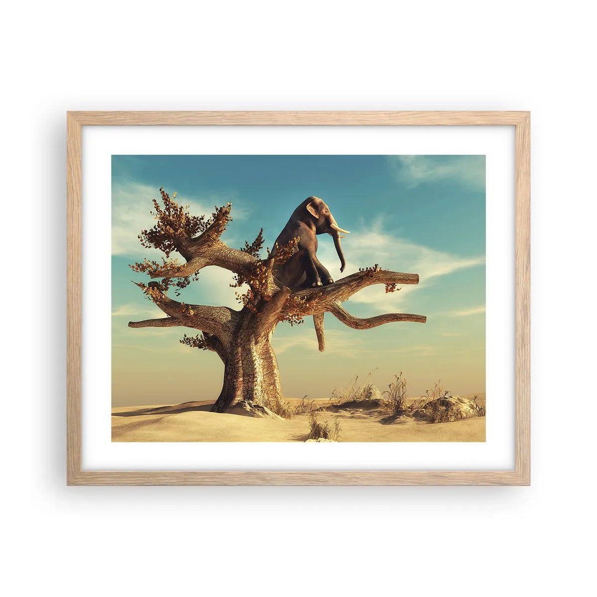 Affiche dans un chêne clair - Poster - Nouveau point de vue - 50x40 cm