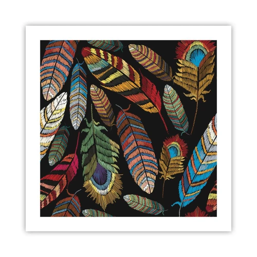 Affiche - Poster - Le carnaval des oiseaux - 50x50 cm