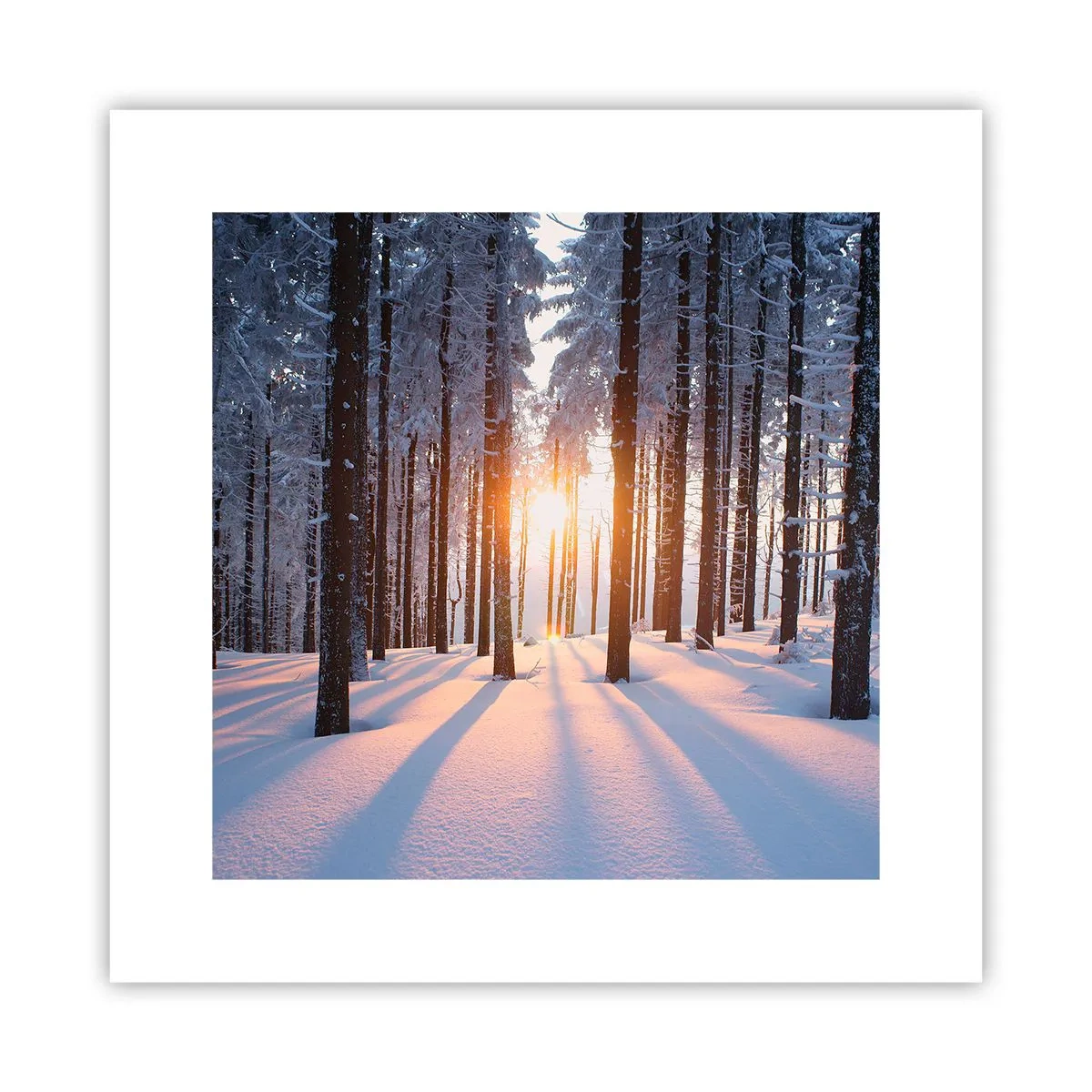 Affiche - Poster - Clairement en noir et blanc - 30x30 cm