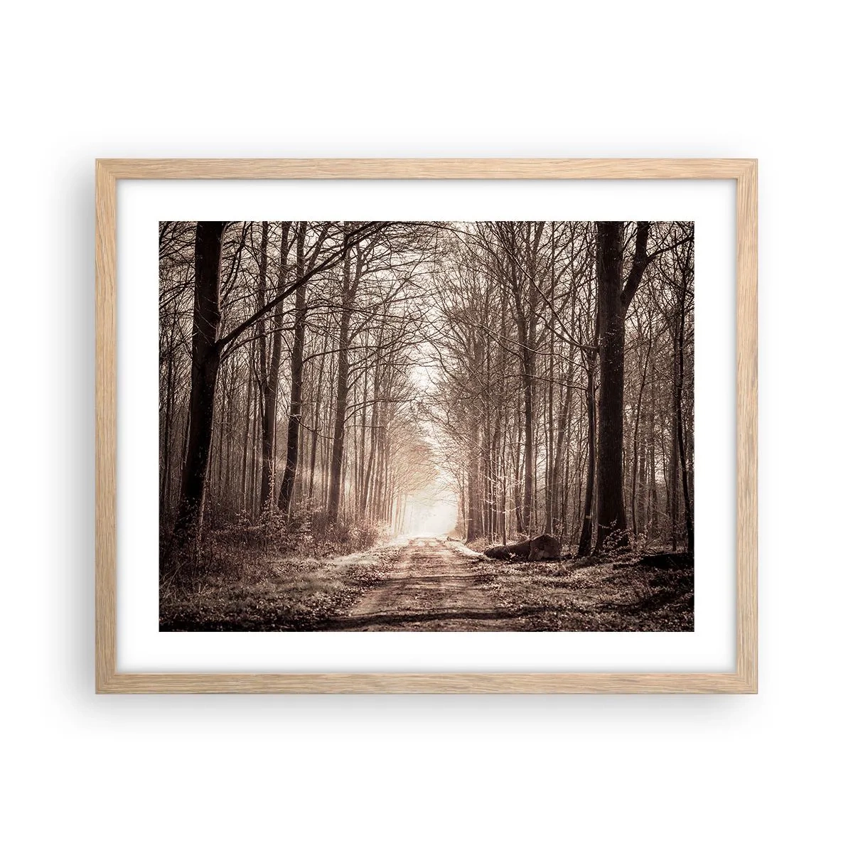 Affiche dans un chêne clair - Poster - Cathédrale de la forêt - 50x40 cm