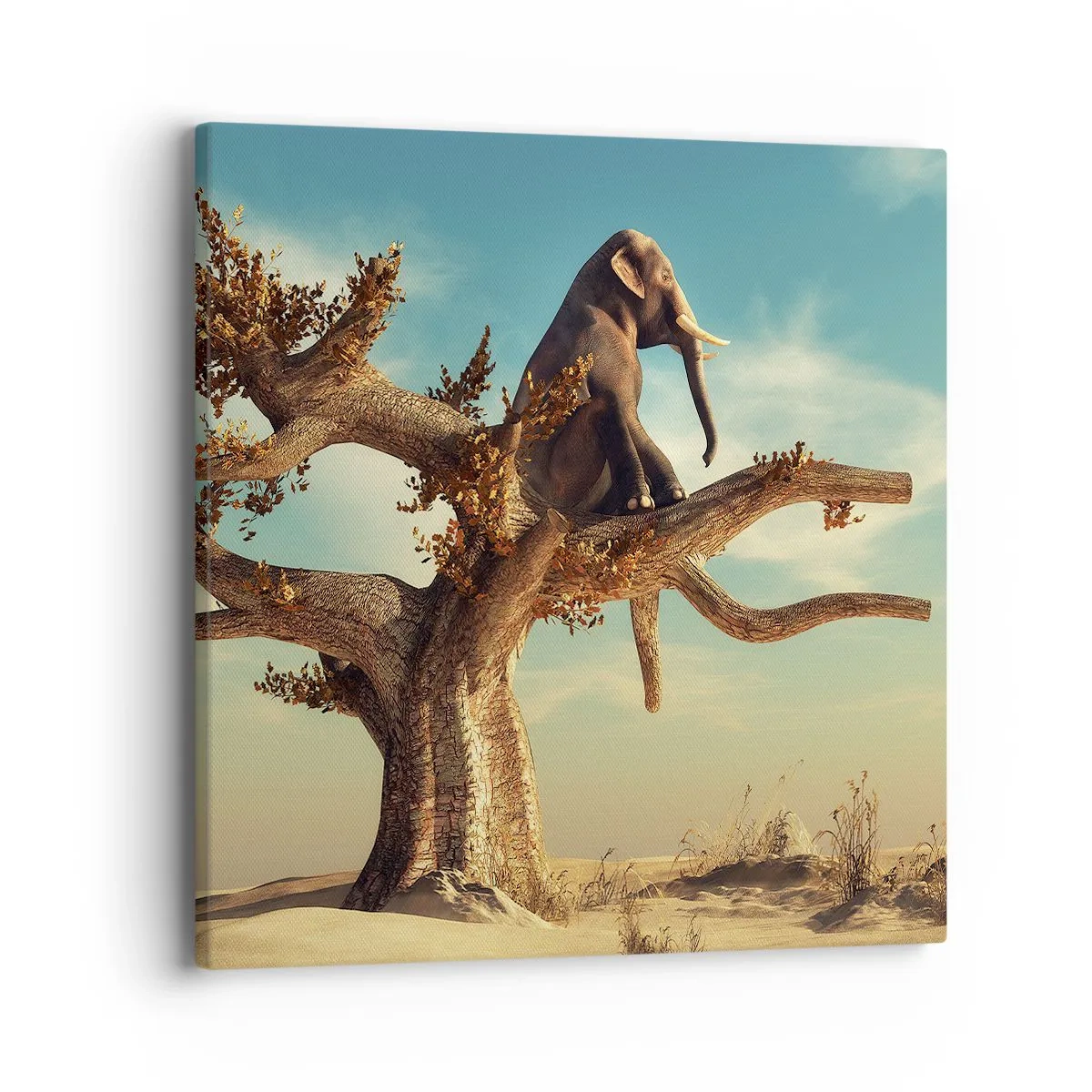 Impression sur toile - Image sur toile - Nouveau point de vue - 40x40 cm