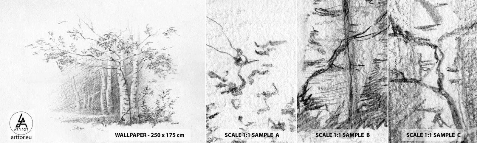 Échantillon De Papier Peint Standard Eco - Lumière d'une forêt de bouleaux - Forêt, Bouleau, Des arbres - 100x30 cm