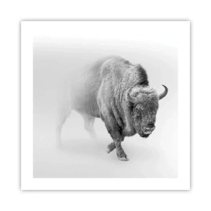 Affiche - Poster - Roi de la prairie - 50x50 cm