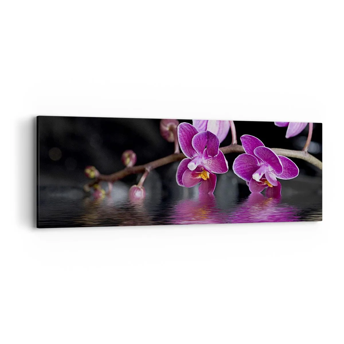 Impression sur toile - Image sur toile - Reflet lilas de la beauté - 90x30 cm