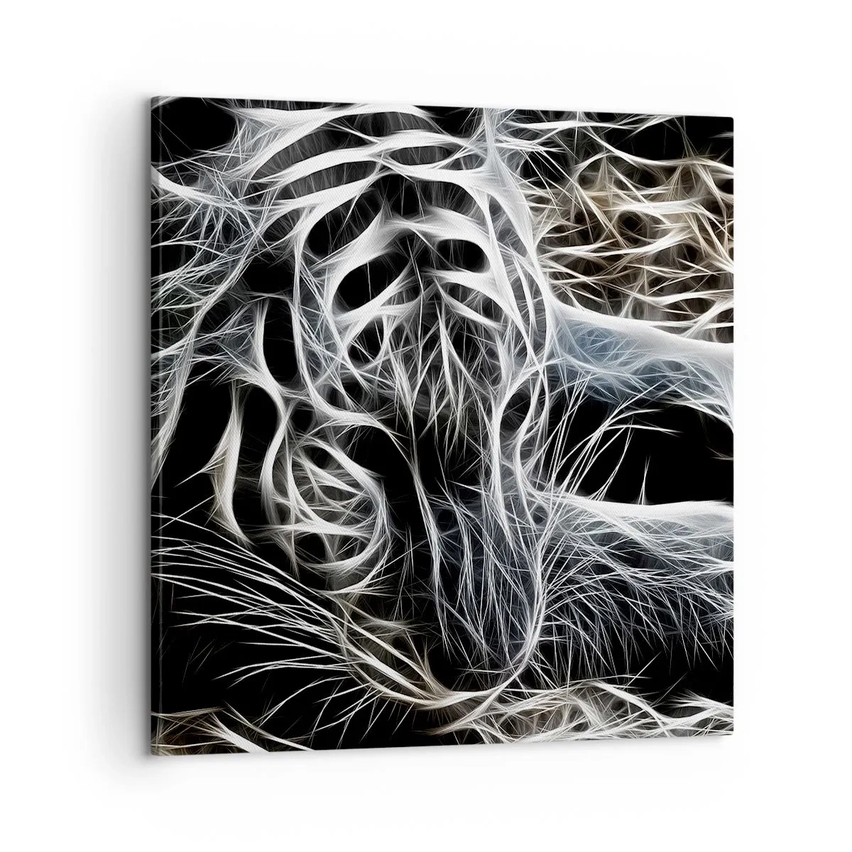 Impression sur toile - Image sur toile - Une étude de la légèreté du chat - 60x60 cm