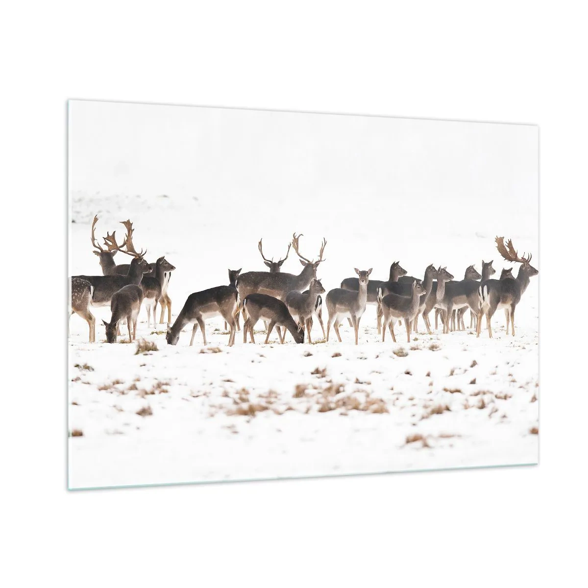 Impression sur verre - Image sur verre - Une photographie d'un troupeau de cerfs dans un paysage enneigé - 100x70cm - Les fêtes approchent ? - Décoration murale moderne pour le salon et la chambre ARTTOR