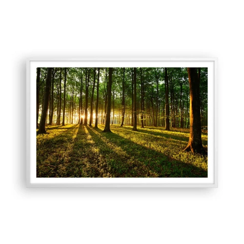 Affiche dans un cadre blanc - Poster - Toutes les photographies de printemps - 91x61 cm