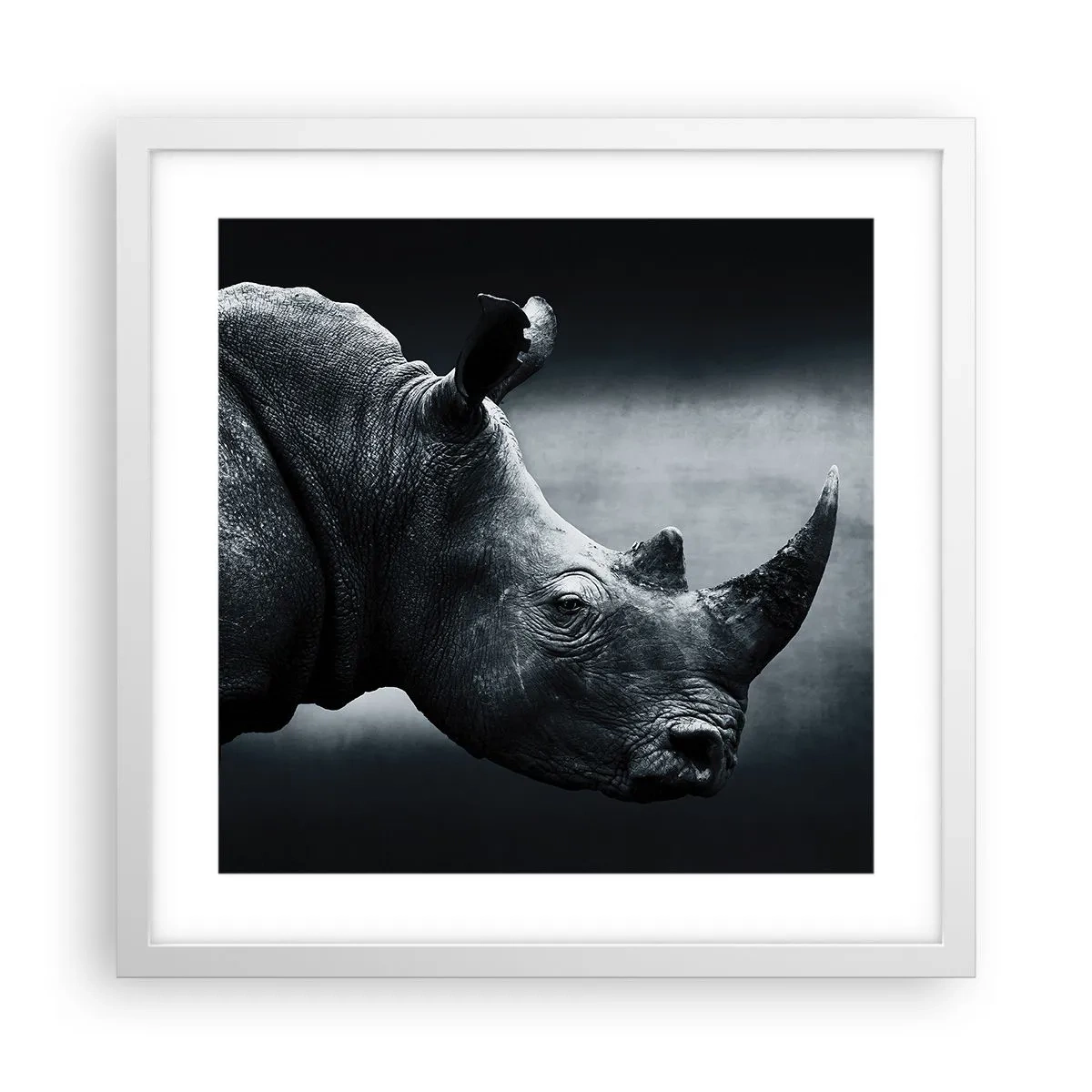 Affiche dans un cadre blanc - Poster - Le profil droit - 40x40 cm