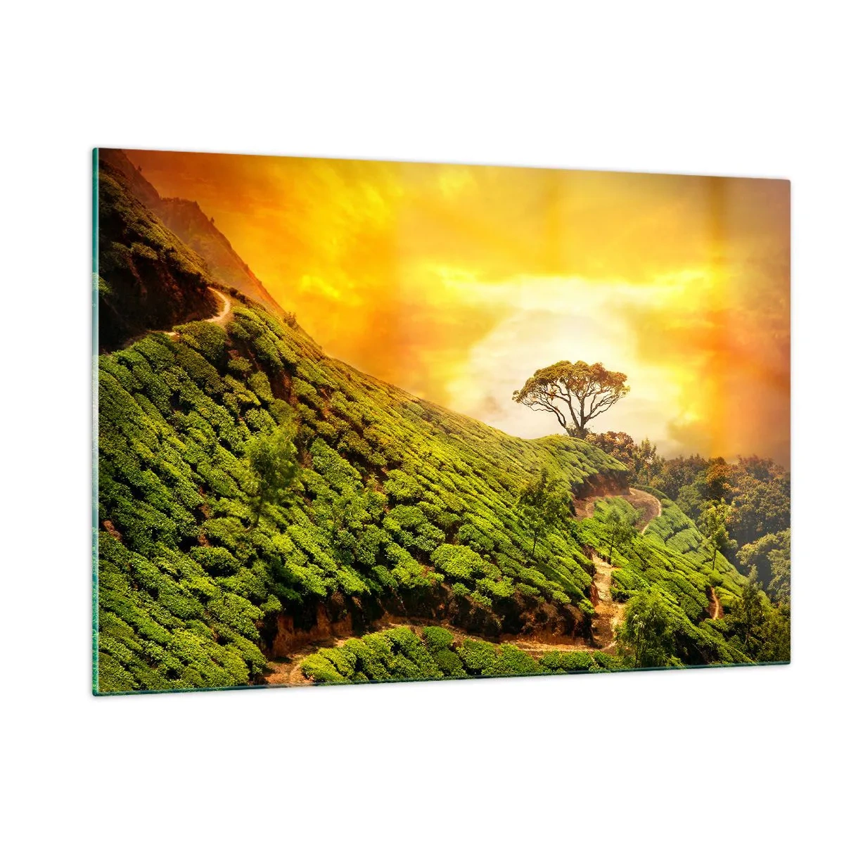Impression sur verre - Image sur verre - Collines verdoyantes avec un arbre solitaire au coucher du soleil - 120x80cm - Un chemin sinueux, une pente verte - Décoration murale moderne pour le salon et la chambre ARTTOR