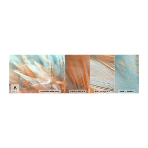 Échantillon de Papier Peint Premium Sand - Au pays de la douceur - Délicat, Plumes, Minimalisme - 100x30 cm