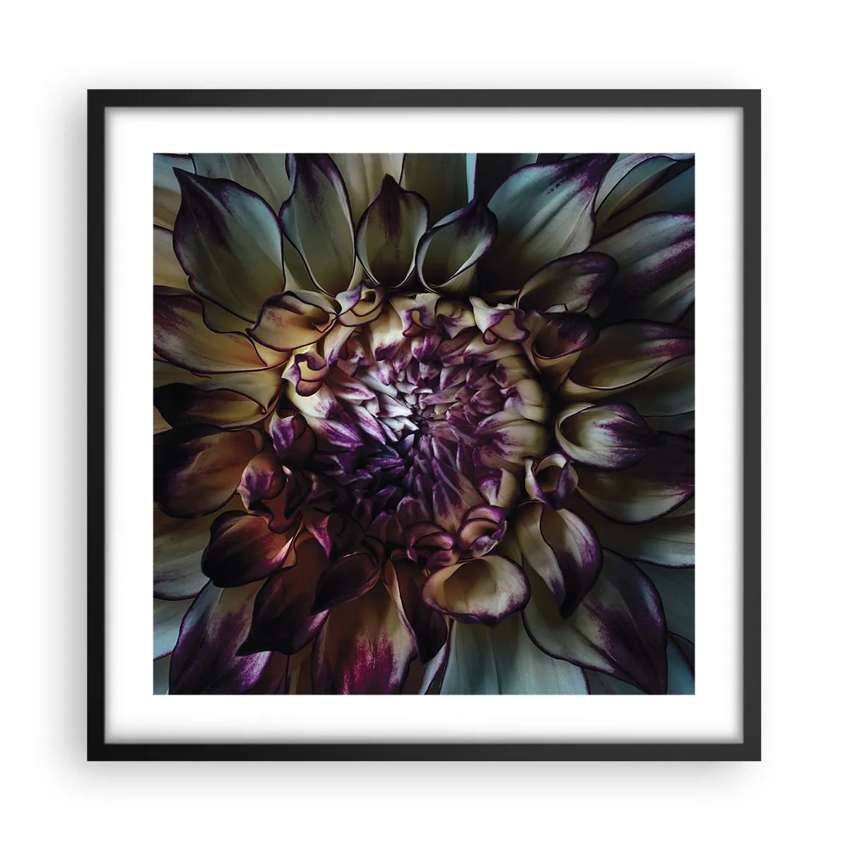 Affiche dans un cadre noir - Poster - L'apogée de la jeunesse - 50x50 cm