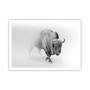Affiche - Poster - Bison blanc dans un décor minimaliste - 100x70cm - Roi de la prairie - Décoration murale moderne pour le salon et la chambre ARTTOR