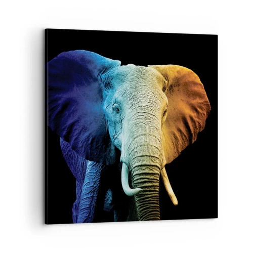 Impression sur toile - Image sur toile - Excentrique, pas bizarre - 60x60 cm