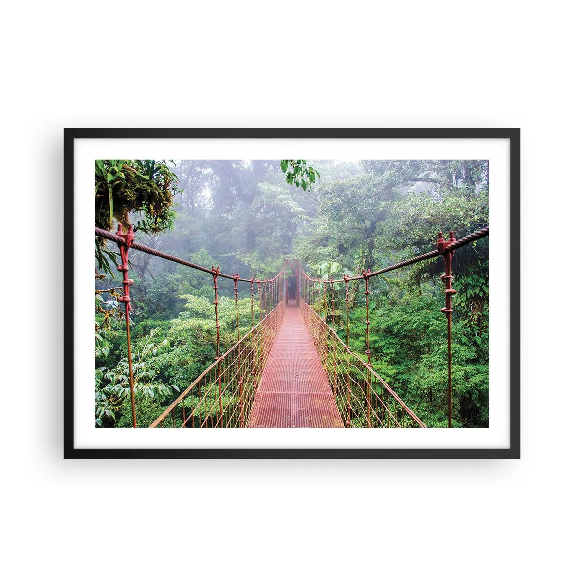 Affiche dans un cadre noir - Poster - Un pont suspendu dans une jungle tropicale entourée de brouillard - 70x50cm - Suspendu sur les couronnes - Décoration murale moderne pour le salon et la chambre ARTTOR