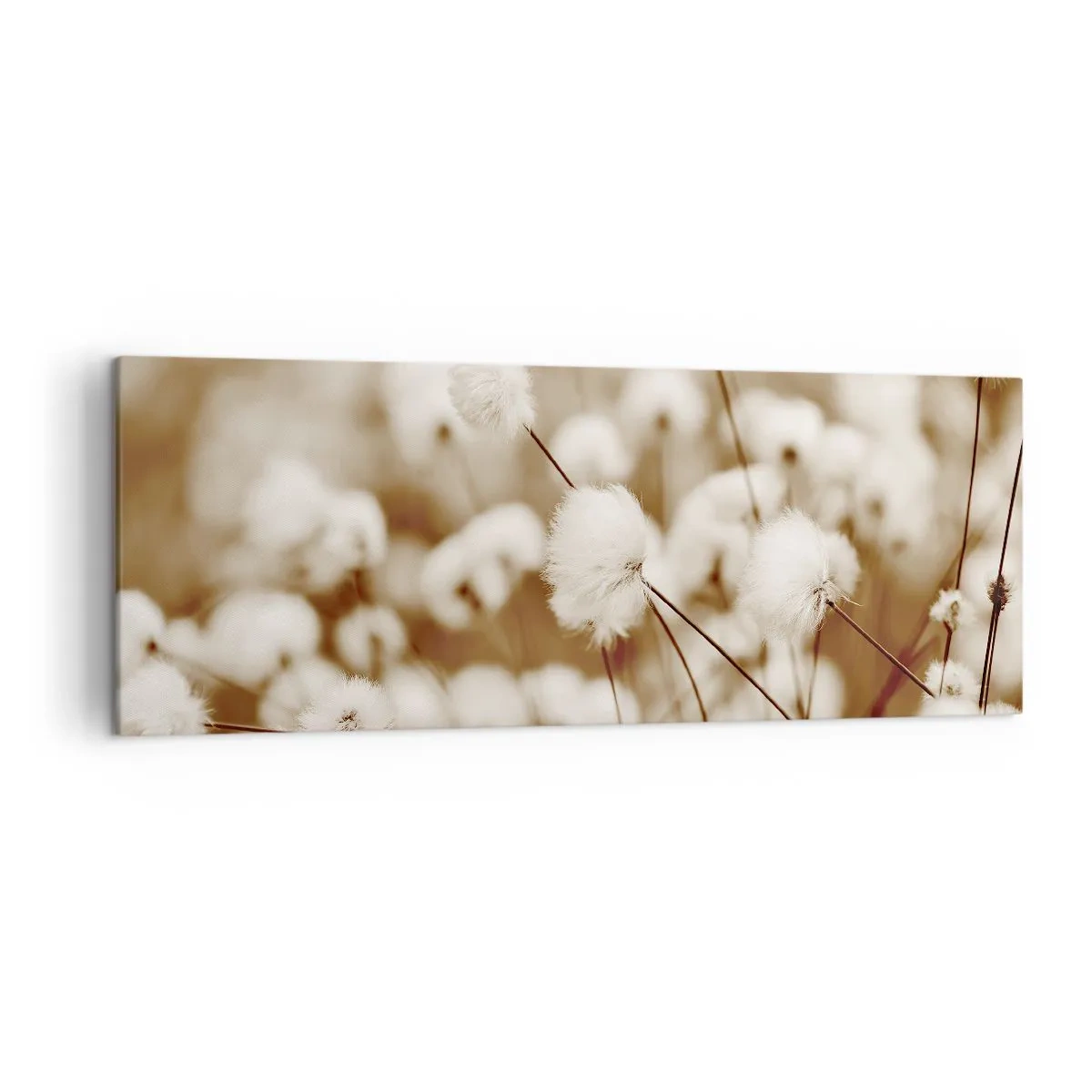 Impression sur toile - Image sur toile - Un champ de plantes délicates aux tons sépia - 140x50cm - Tige moelleuse - Décoration murale moderne pour le salon et la chambre ARTTOR