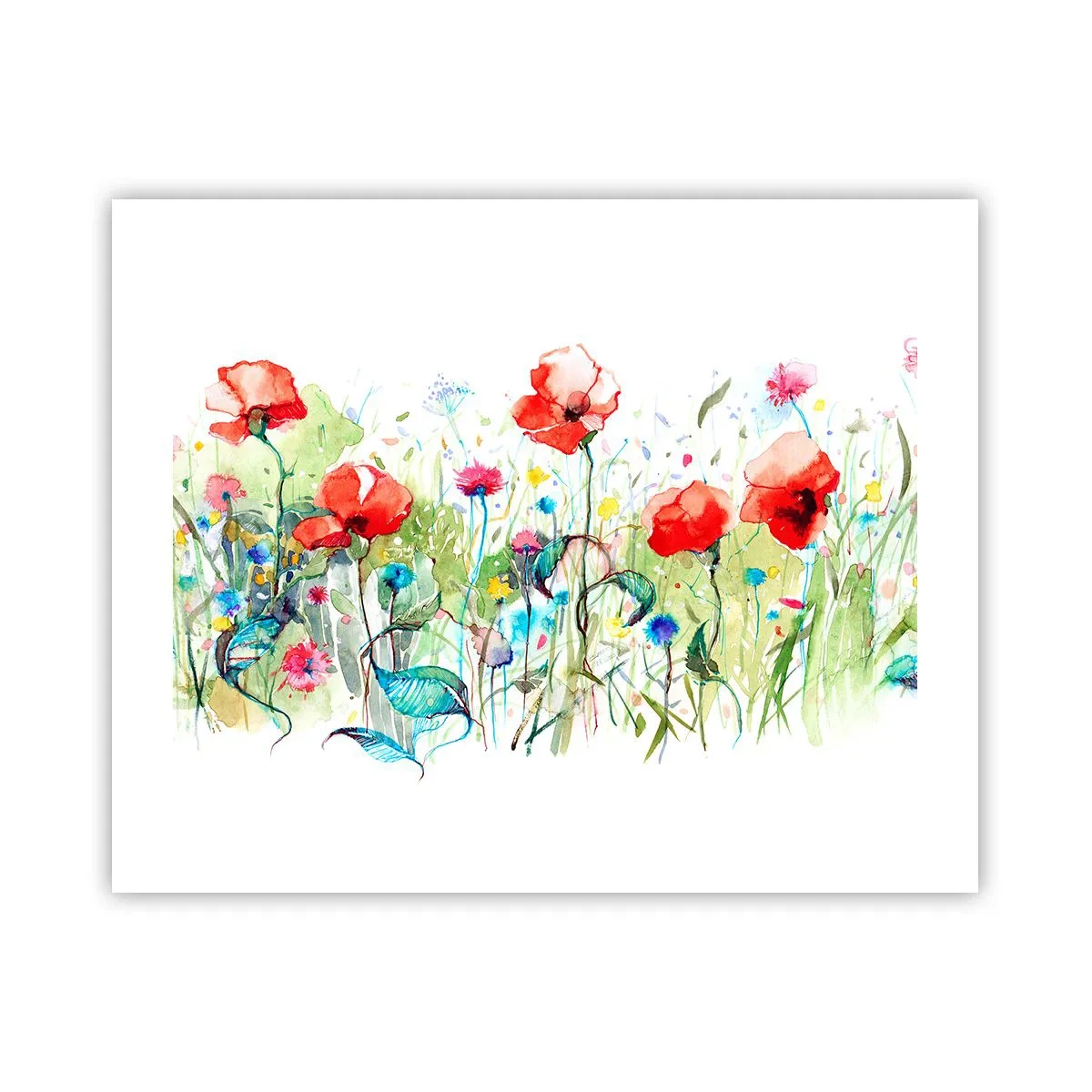 Affiche - Poster - Prairie de fleurs en mai - 50x40 cm