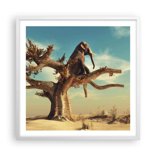 Affiche dans un cadre blanc - Poster - Nouveau point de vue - 60x60 cm
