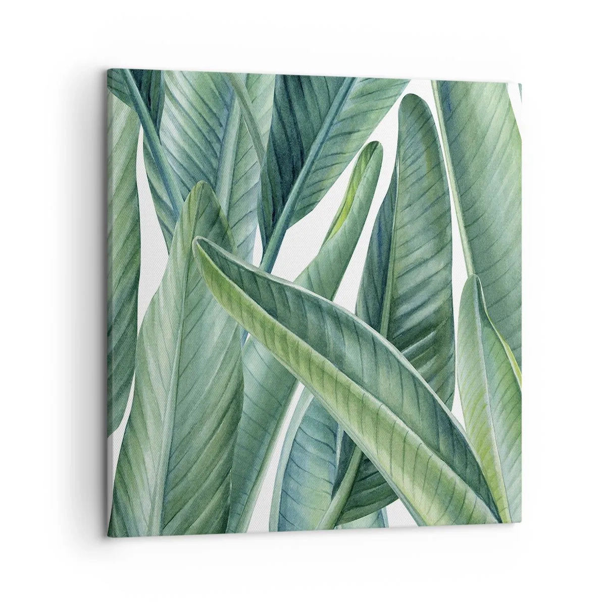 Impression sur toile - Image sur toile - La nature face à elle-même - 50x50 cm