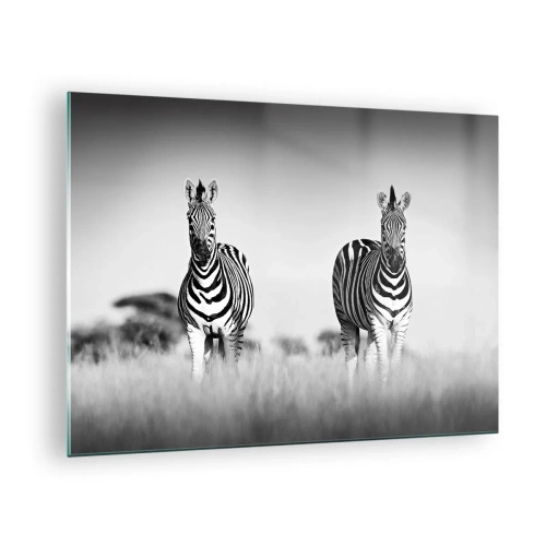 Impression sur verre - Image sur verre - Une paire de zèbres sur un fond d'herbe noir et blanc, représentés dans leur habitat naturel. - 70x50cm - Le monde est bel et bien noir et blanc - Décoration murale moderne pour le salon et la chambre ARTTOR