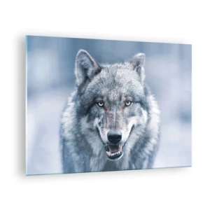 Impression sur verre - Image sur verre - Un loup au regard perçant sur fond de forêt enneigée - 70x50cm - Relèverez-vous le défi ? - Décoration murale moderne pour le salon et la chambre ARTTOR