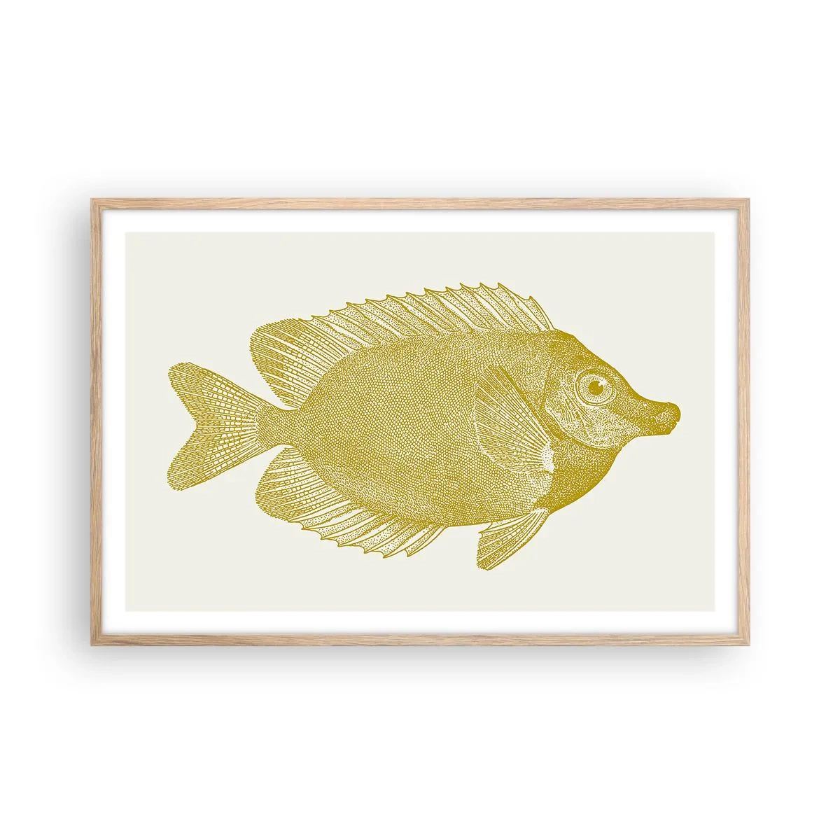 Affiche dans un chêne clair - Poster - Du poisson et c'est tout - 91x61 cm