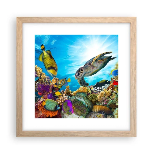 Affiche dans un chêne clair - Poster - Promenade de corail - 30x30 cm