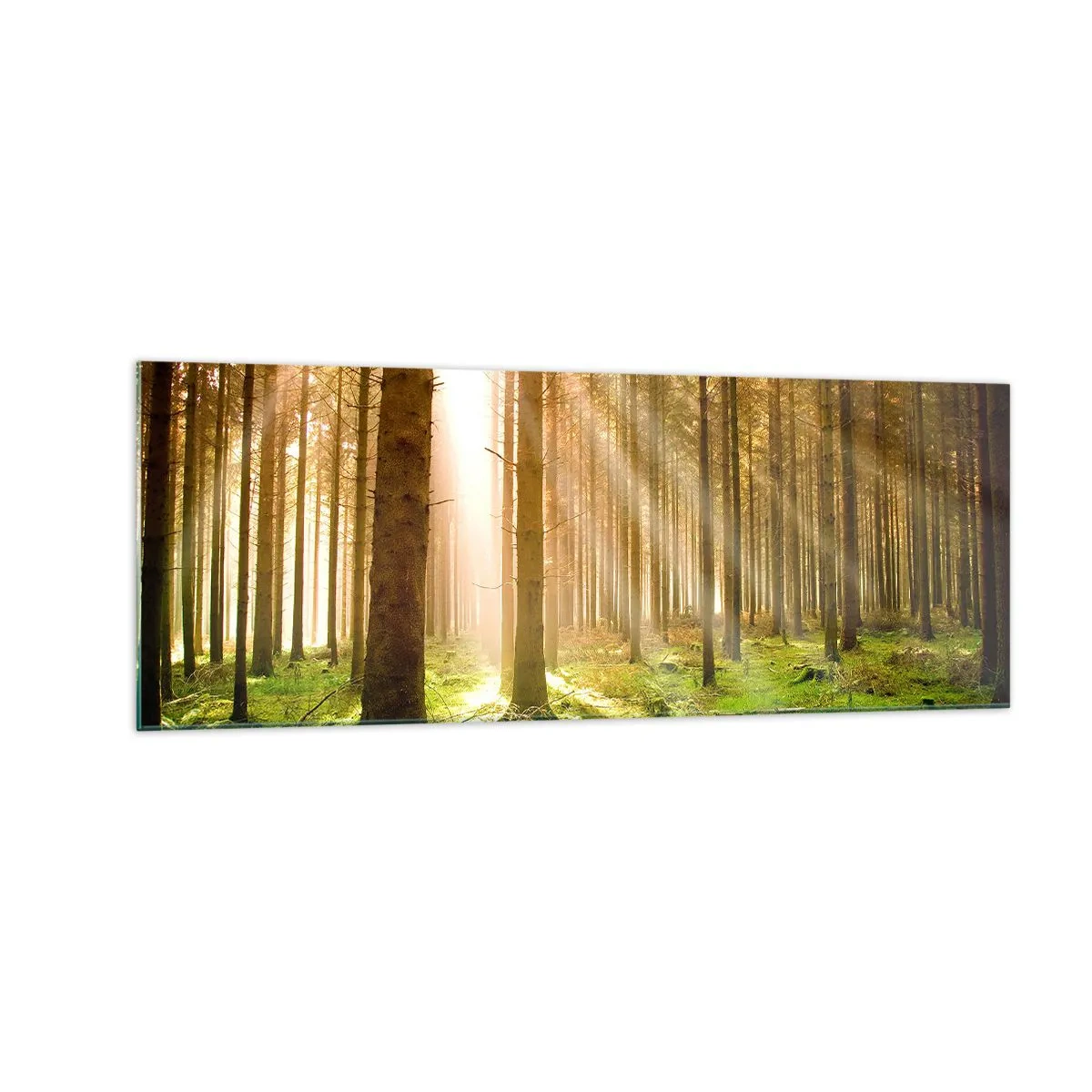 Impression sur verre - Image sur verre - Forêt de conifères avec les rayons du soleil qui brillent à travers les arbres - 140x50cm - Les elfes vont bientôt apparaître - Décoration murale moderne pour le salon et la chambre ARTTOR