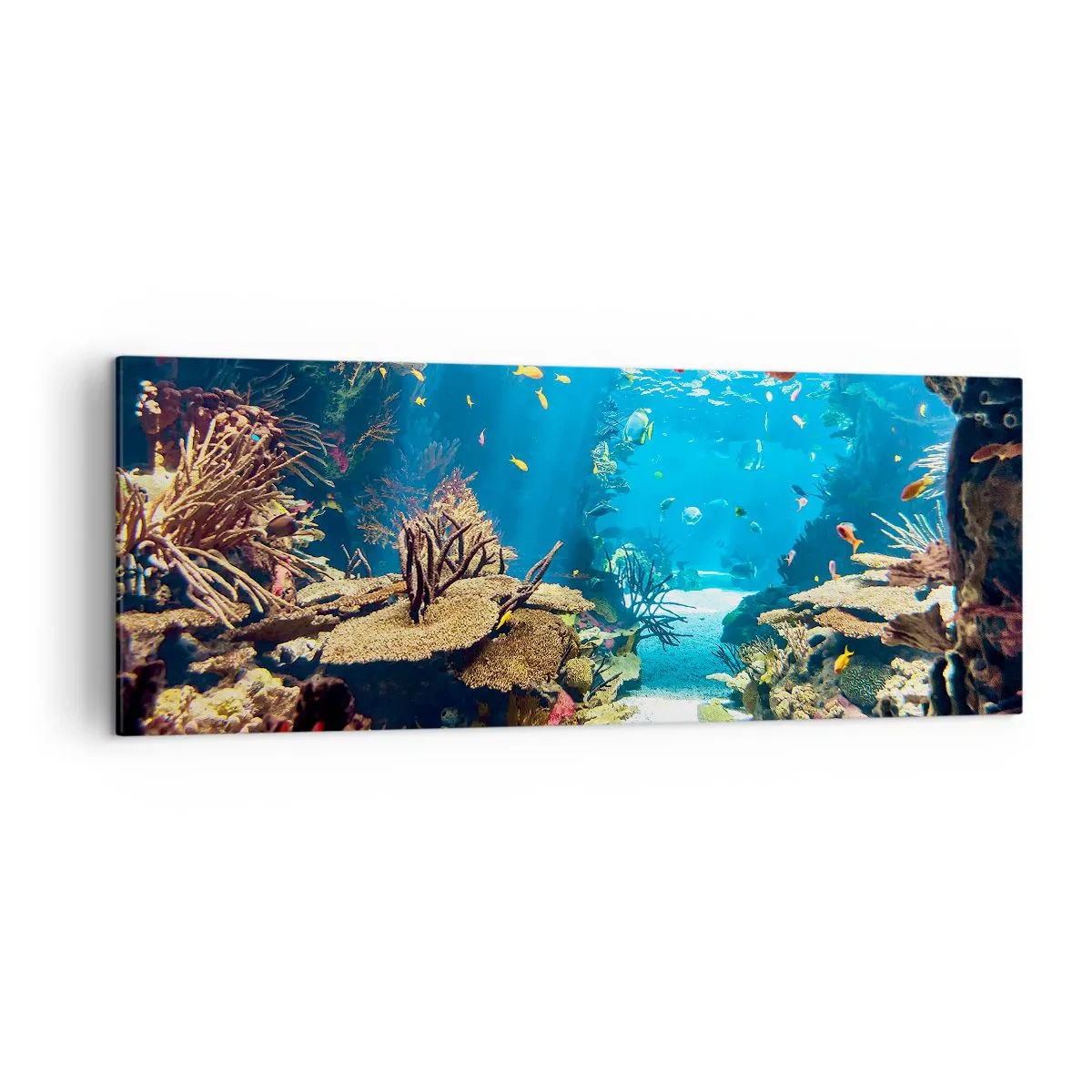 Impression sur toile - Image sur toile - Monde sous-marin avec récif corallien et poissons - 140x50cm - Tu ne l'as même pas rêvé - Décoration murale moderne pour le salon et la chambre ARTTOR