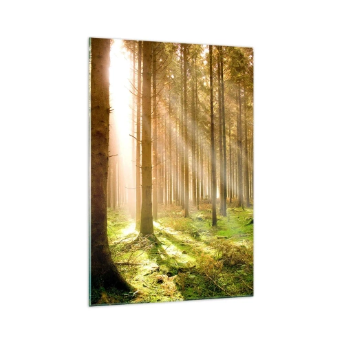 Impression sur verre - Image sur verre - Forêt de conifères avec les rayons du soleil qui brillent à travers les arbres - 70x100cm - Les elfes vont bientôt apparaître - Décoration murale moderne pour le salon et la chambre ARTTOR