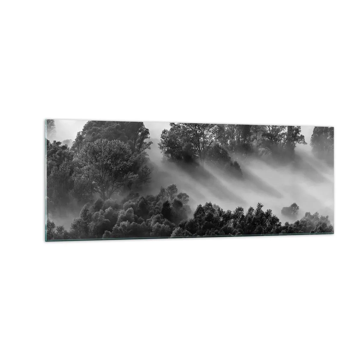 Impression sur verre - Image sur verre - Paysage forestier noir et blanc dans le brouillard du matin - 140x50cm - Sortir de son sommeil - Décoration murale moderne pour le salon et la chambre ARTTOR