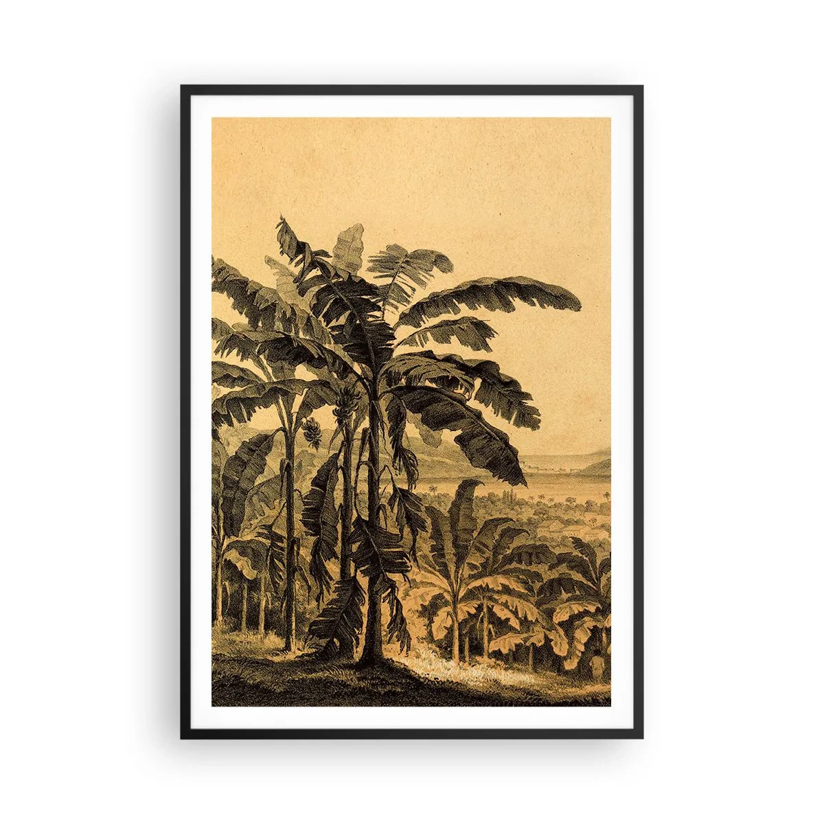 Affiche dans un cadre noir - Poster - Dans un climat colonial - 70x100 cm