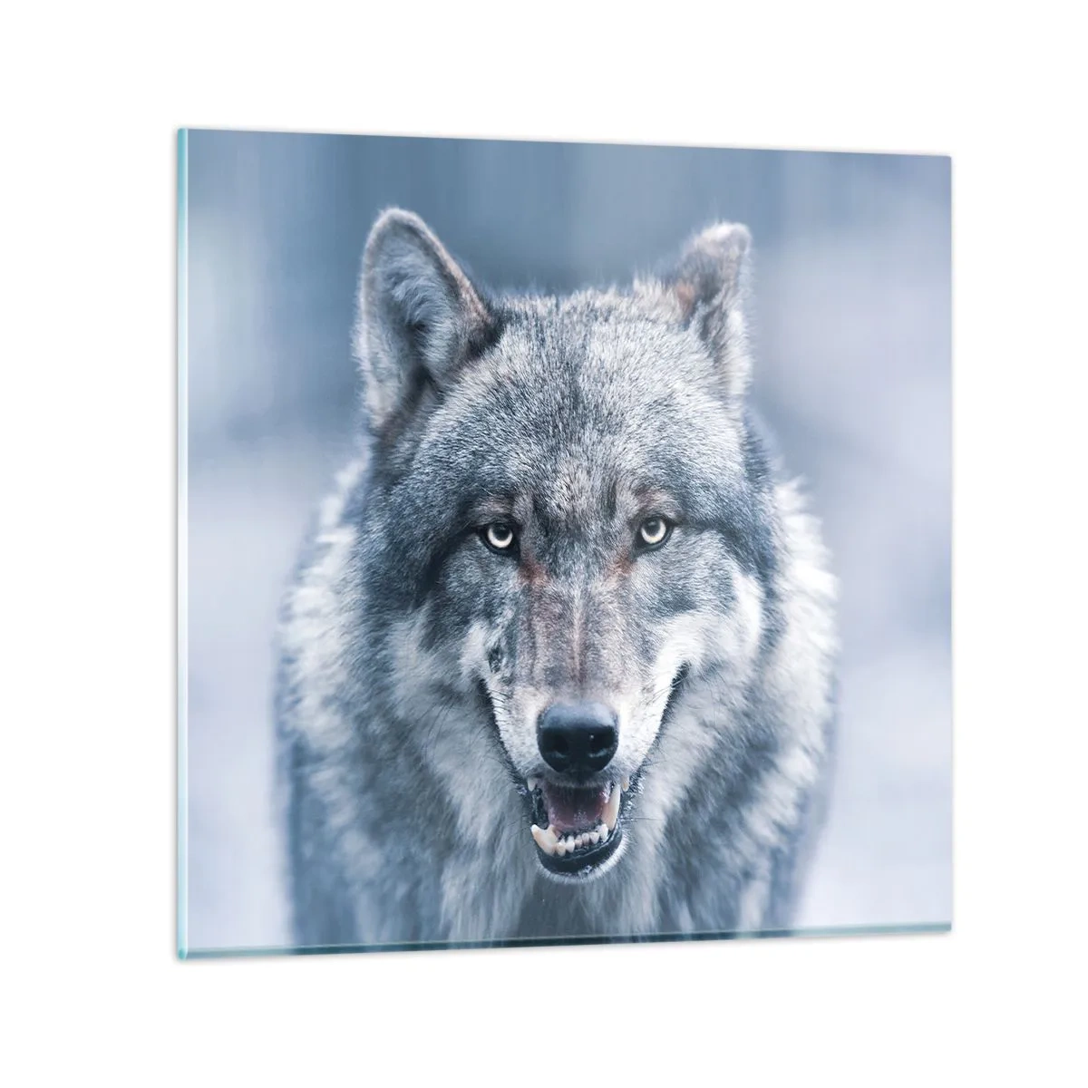 Impression sur verre - Image sur verre - Relèverez-vous le défi ? - 70x70 cm