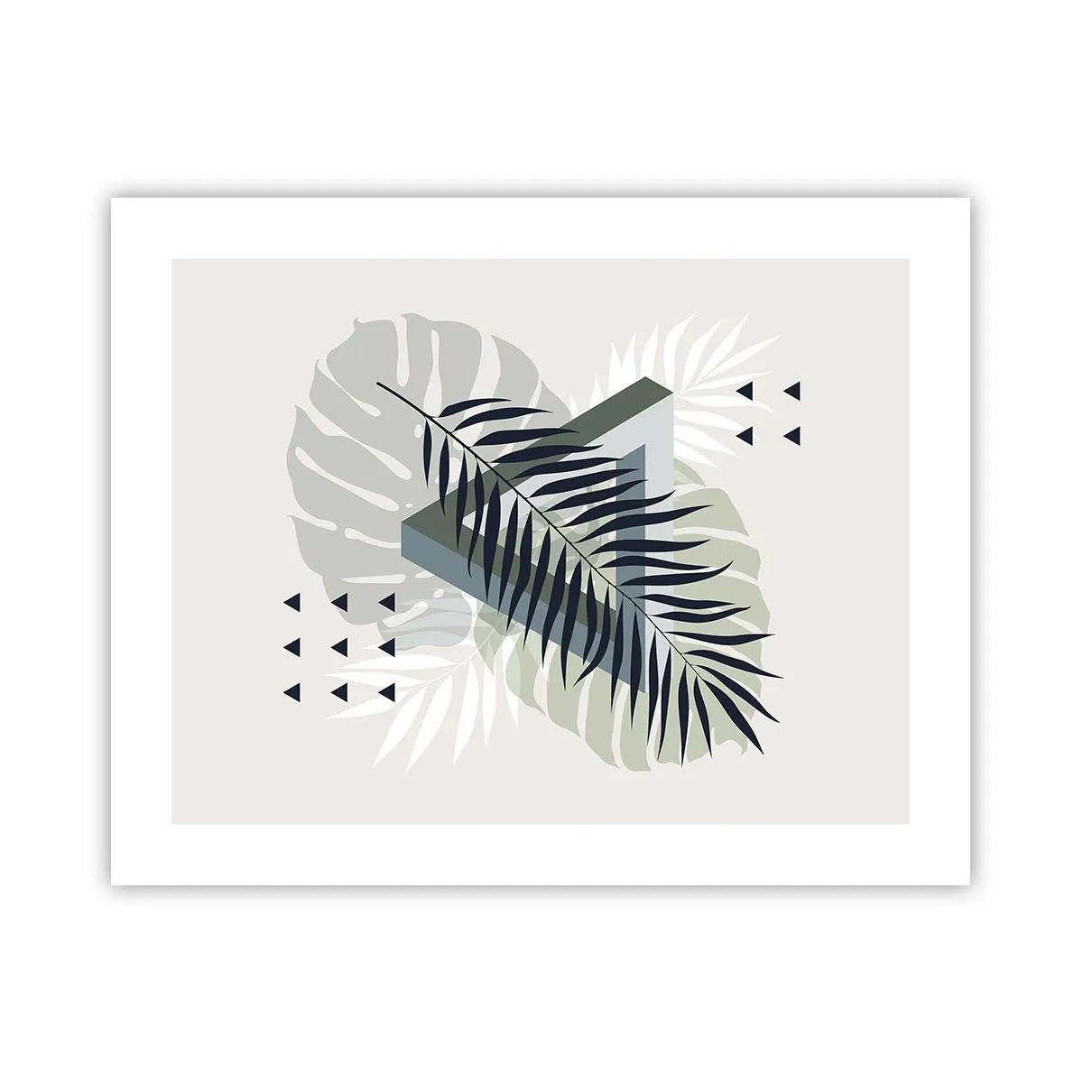 Affiche - Poster - Nature et géométrie - deux odres? - 50x40 cm