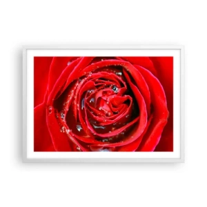 Affiche dans un cadre blanc - Poster - Dans les gouttes de rosée - 70x50 cm