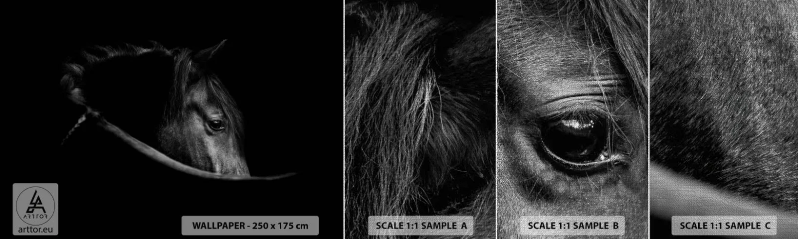 Échantillon de Papier Peint Premium Canvas - Prince Noir - Cheval, Animal, Artistique - 100x30 cm