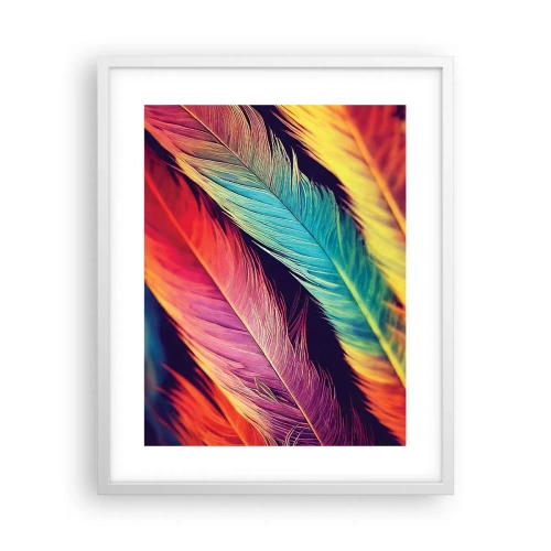 Affiche dans un cadre blanc - Poster - Arc-en-ciel de plumes - 40x50 cm