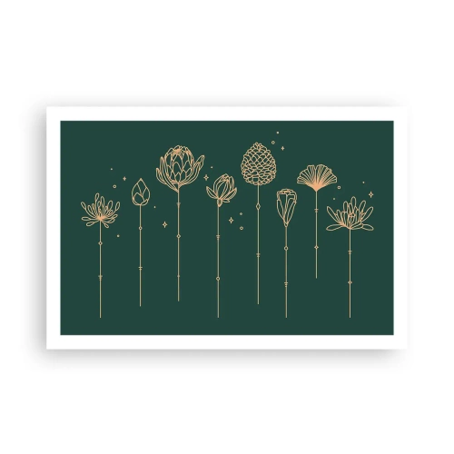 Affiche - Poster - La famille Plante - 91x61 cm