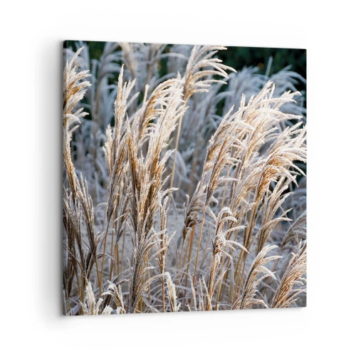 Impression sur toile - Image sur toile - Habillé de givre - 60x60 cm