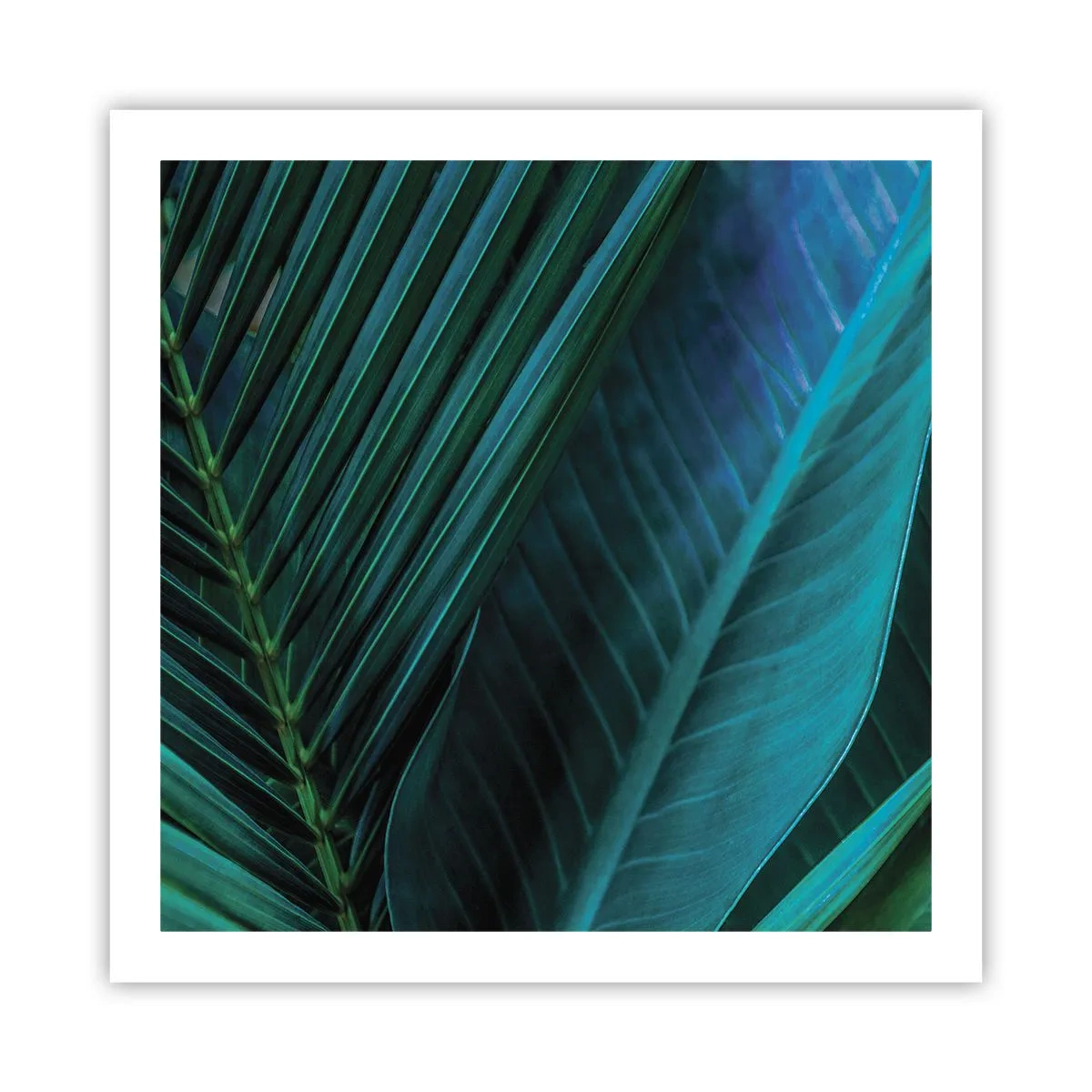 Affiche - Poster - L'anatomie du vert - 60x60 cm