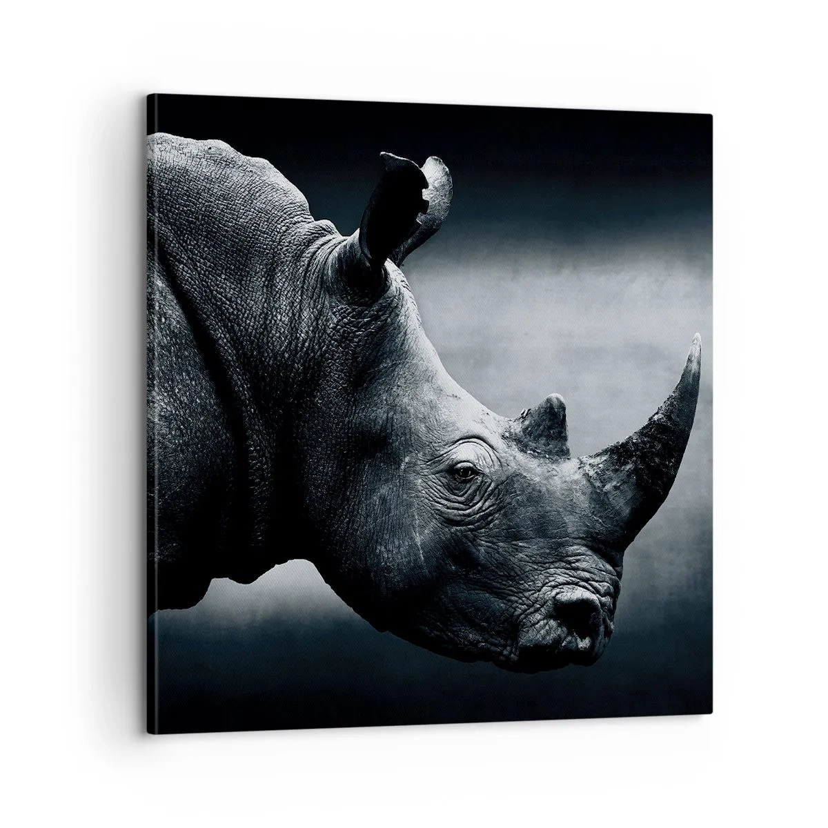 Impression sur toile - Image sur toile - Le profil droit - 60x60 cm